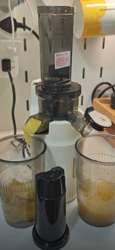 Pocket Juicer photo review